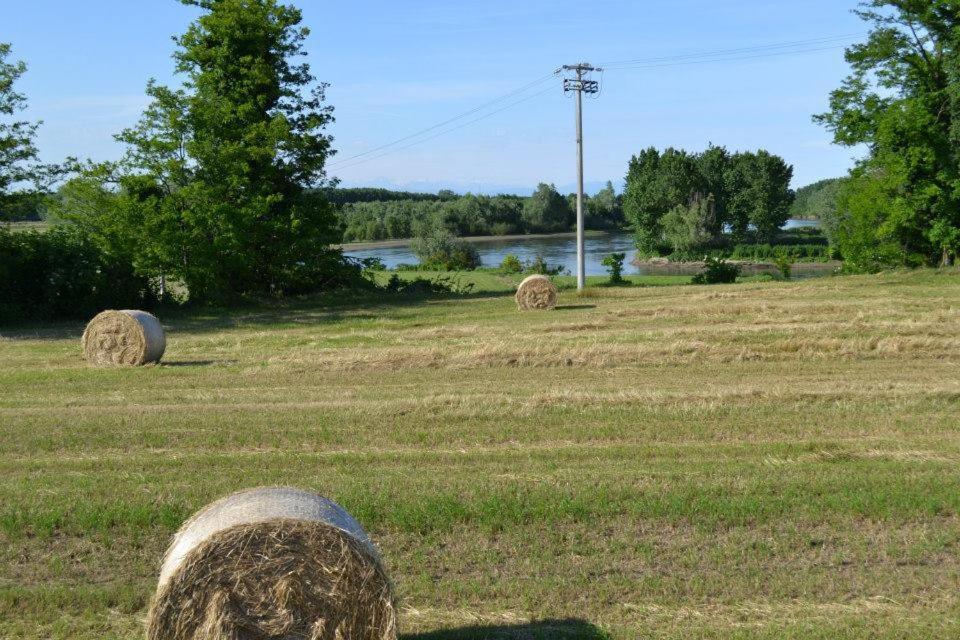 Agriturismo Il Campagnino Cremona Exterior photo