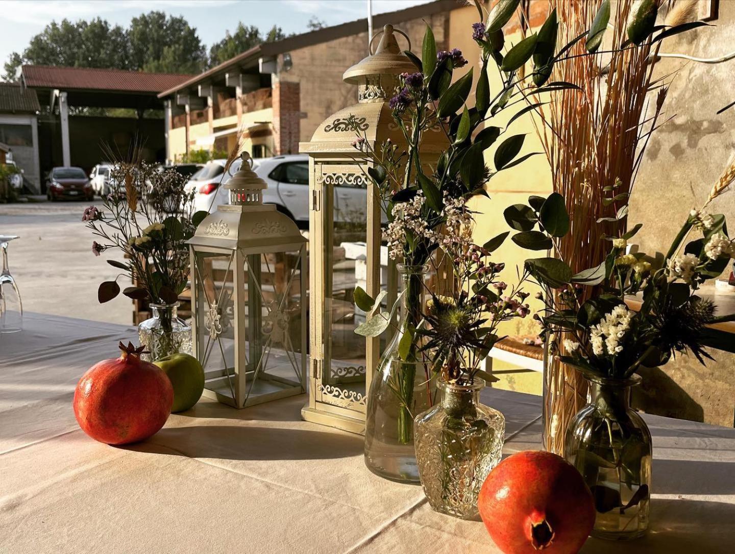 Agriturismo Il Campagnino Cremona Exterior photo